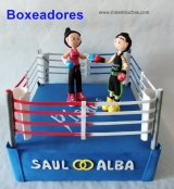 fofucha boxeadores